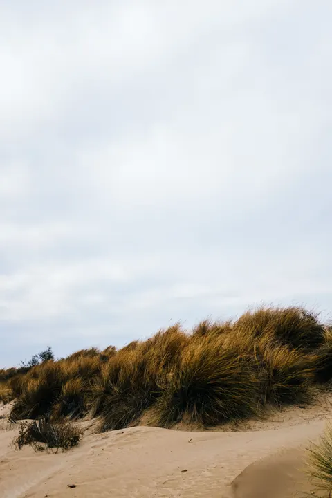 Desert Dunes Phone Wallpaper · vertical · 1440×2160