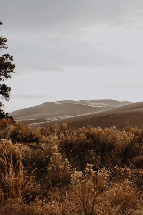 Desert Dunes Phone Wallpaper · vertical · 1440×2160