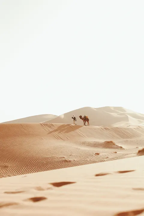 Desert Dunes Phone Wallpaper · vertical · 1440×2160