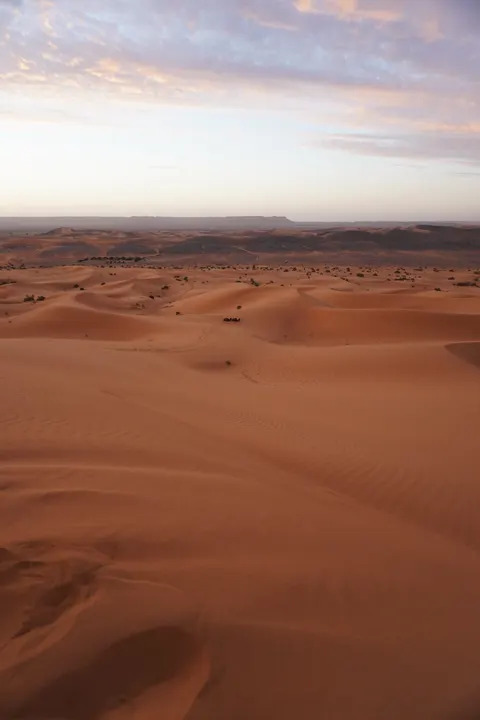 Desert Dunes Phone Wallpaper · vertical · 1440×2160