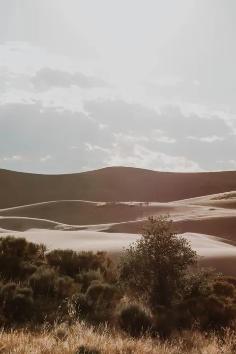 Desert Dunes Phone Wallpaper · vertical · 1440×2160