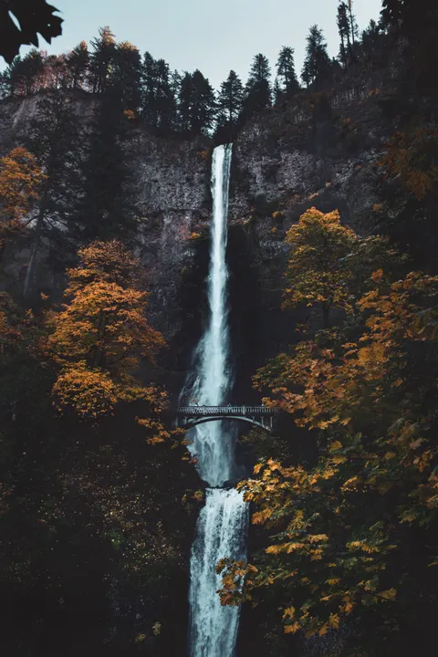 Tall Waterfall Phone Wallpaper · vertical · 1440×2160
