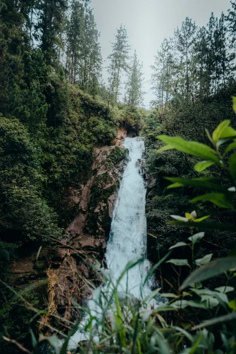 Tall Waterfall Phone Wallpaper · vertical · 1440×2160