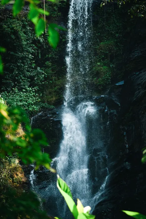 Tall Waterfall Phone Wallpaper · vertical · 1440×2160