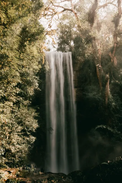 Tall Waterfall Phone Wallpaper · vertical · 1440×2160
