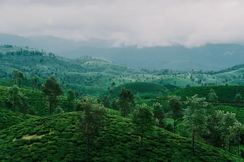 خلفية تلال خضراء بدقة 4K · nature · 3840×2560