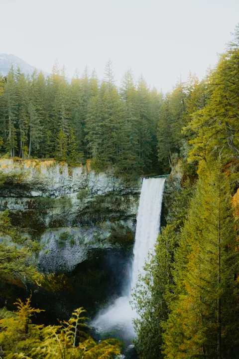 Tall Waterfall Phone Wallpaper · vertical · 1440×2160