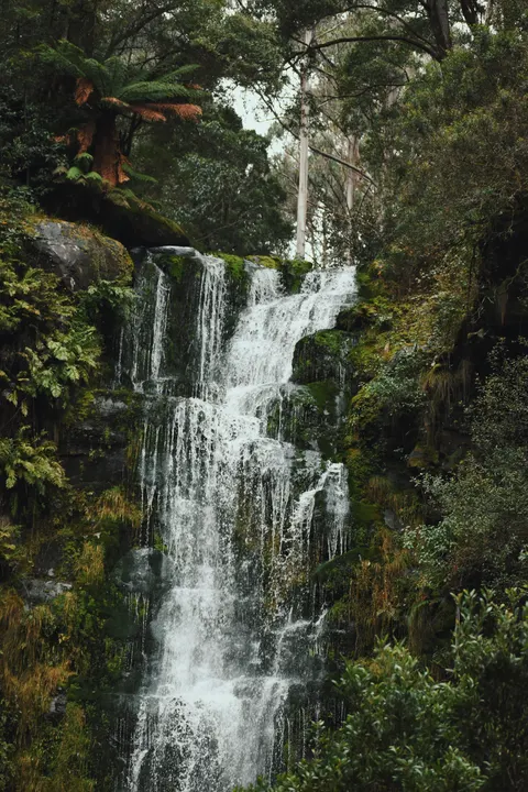 Tall Waterfall Phone Wallpaper · vertical · 1440×2160