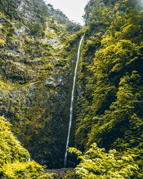 Tall Waterfall Phone Wallpaper · vertical · 1440×1800