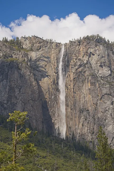 Tall Waterfall Phone Wallpaper · vertical · 1440×2160