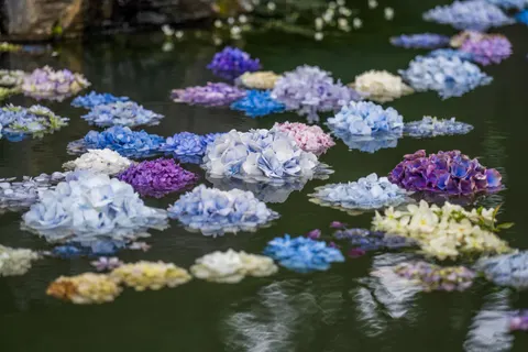 Blumen 4K Hintergrundbild · flowers · 3840×2560