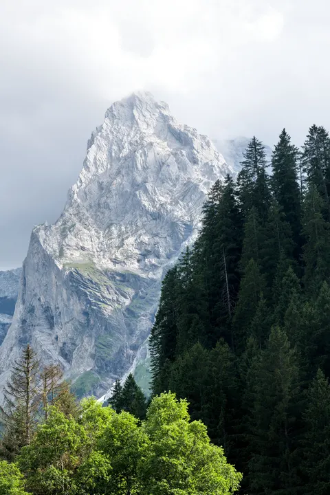 Mountain Peak Phone Wallpaper · vertical · 1440×2161