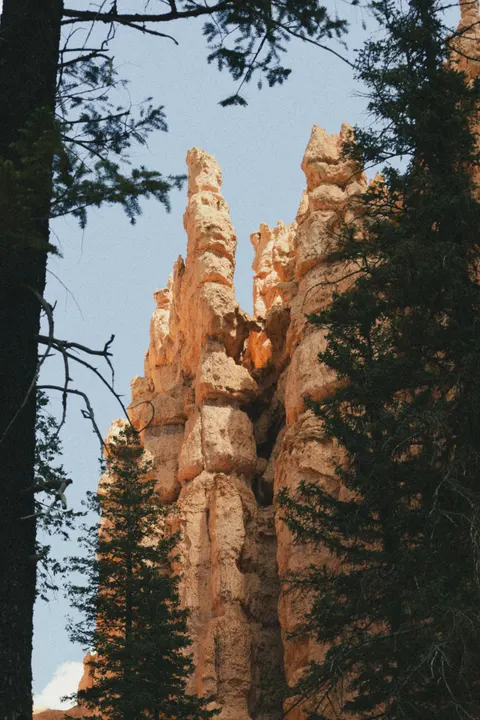 Slot Canyon Phone Wallpaper · vertical · 1440×2160