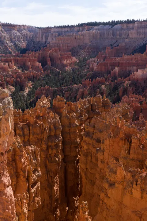 Slot Canyon Phone Wallpaper · vertical · 1440×2160