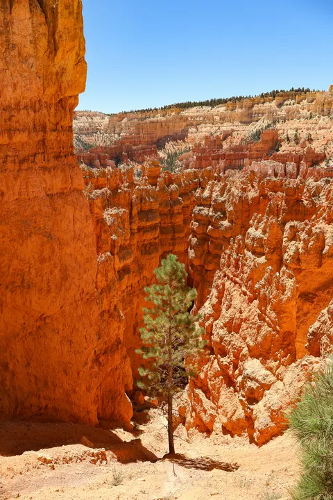 Slot Canyon Phone Wallpaper · vertical · 1440×2160