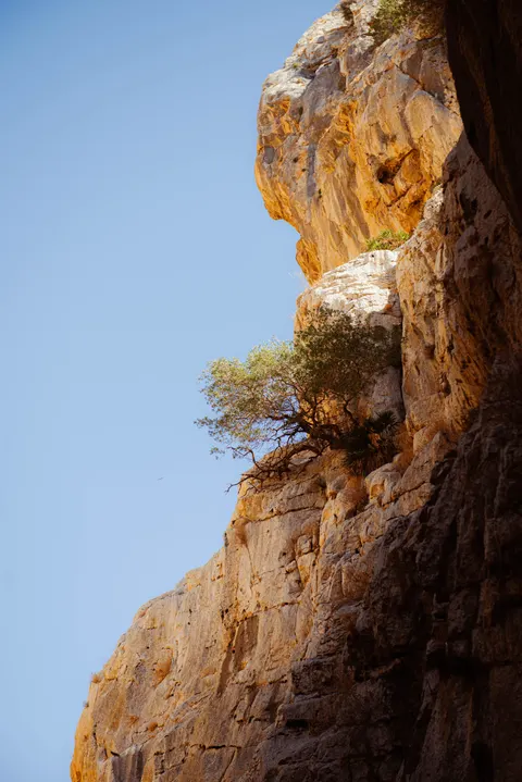 Slot Canyon Phone Wallpaper · vertical · 1440×2157