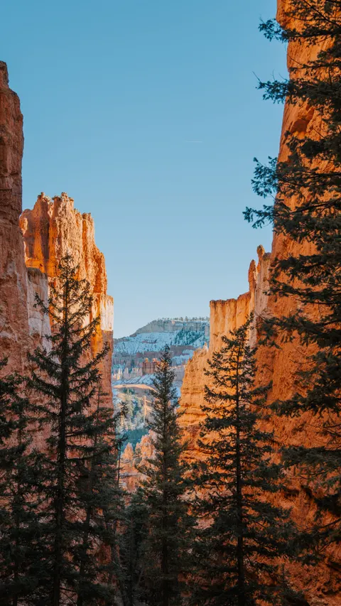 Slot Canyon Phone Wallpaper · vertical · 1440×2559