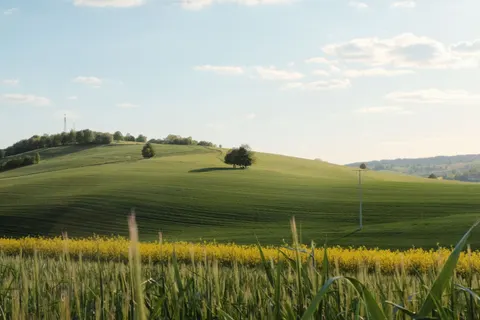 Green Hills 4K Wallpaper · nature · 3840×2560