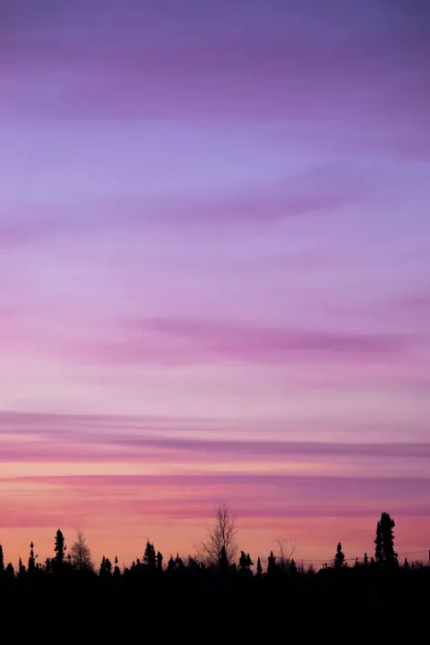 Aurora Phone Wallpaper · vertical · 1440×2160