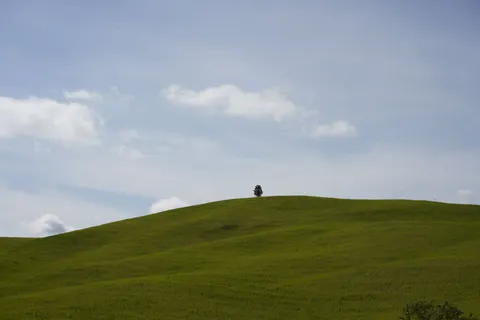 خلفية تلال خضراء بدقة 4K · nature · 3840×2560
