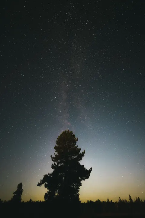 Aurora Phone Wallpaper · vertical · 1440×2159