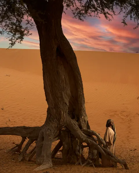 Desert Dunes Phone Wallpaper · vertical · 1440×1800