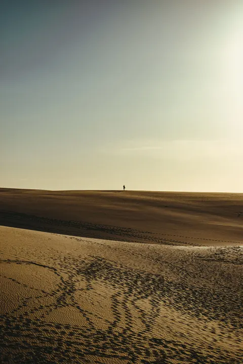 Desert Dunes Phone Wallpaper · vertical · 1440×2160