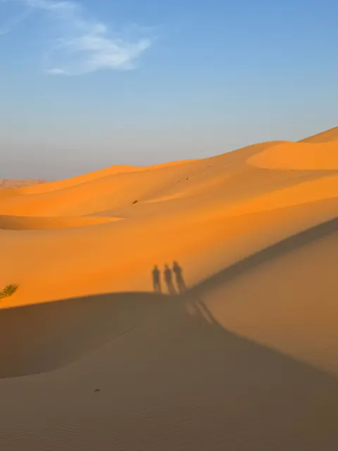 Desert Dunes Phone Wallpaper · vertical · 1440×1920