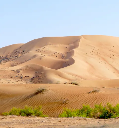 Desert Dunes Phone Wallpaper · vertical · 1440×1556