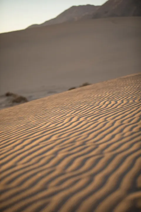 Desert Dunes Phone Wallpaper · vertical · 1440×2160