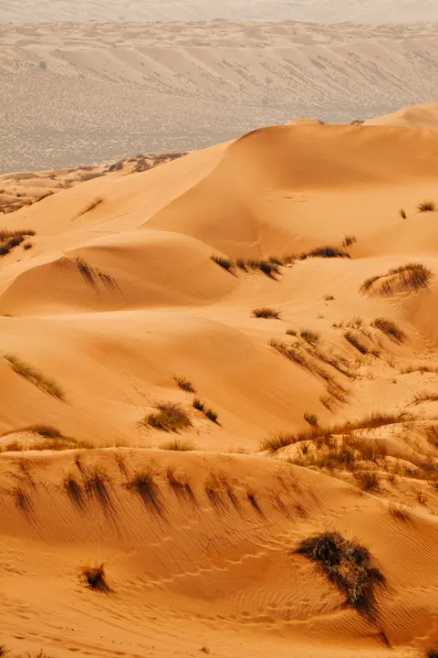 Desert Dunes Phone Wallpaper · vertical · 1440×2160