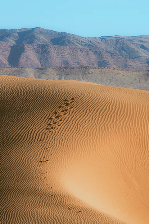 Desert Dunes Phone Wallpaper · vertical · 1440×2160