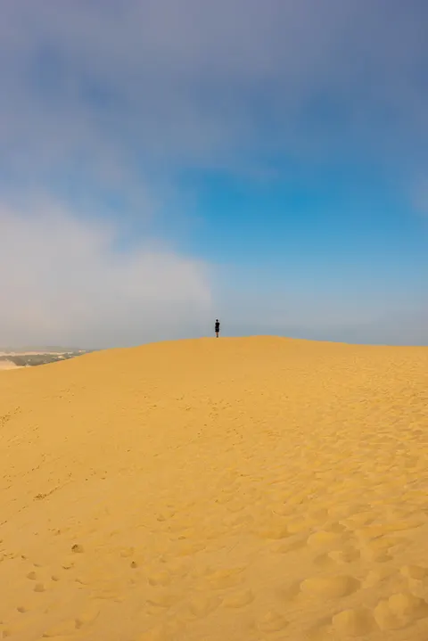 Desert Dunes Phone Wallpaper · vertical · 1440×2157