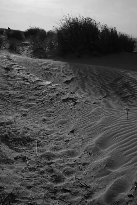 Desert Dunes Phone Wallpaper · vertical · 1440×2158