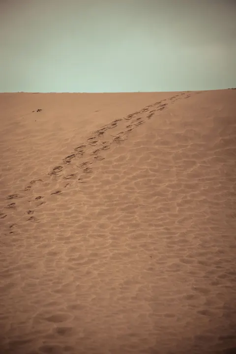 Desert Dunes Phone Wallpaper · vertical · 1440×2160