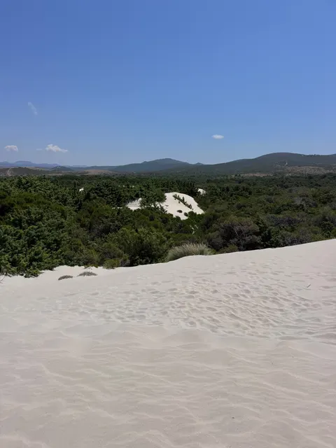 Desert Dunes Phone Wallpaper · vertical · 1440×1920