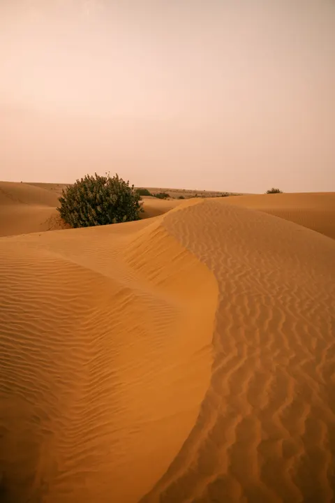 Desert Dunes Phone Wallpaper · vertical · 1440×2160