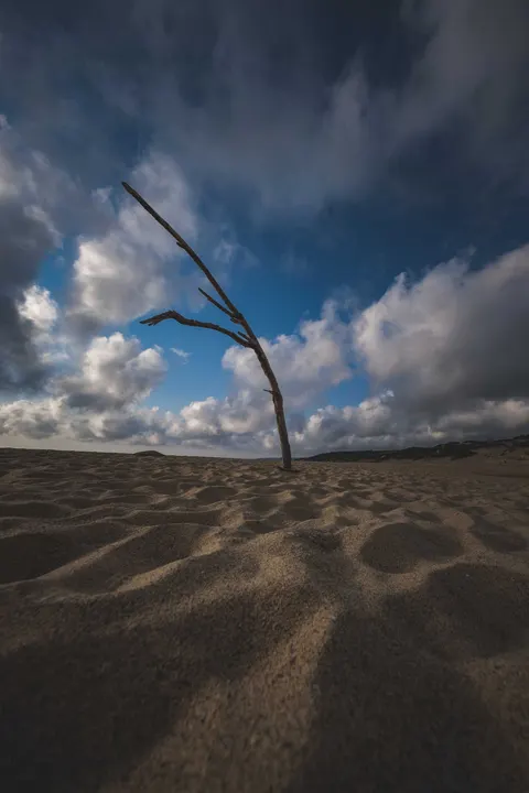 Desert Dunes Phone Wallpaper · vertical · 1440×2160