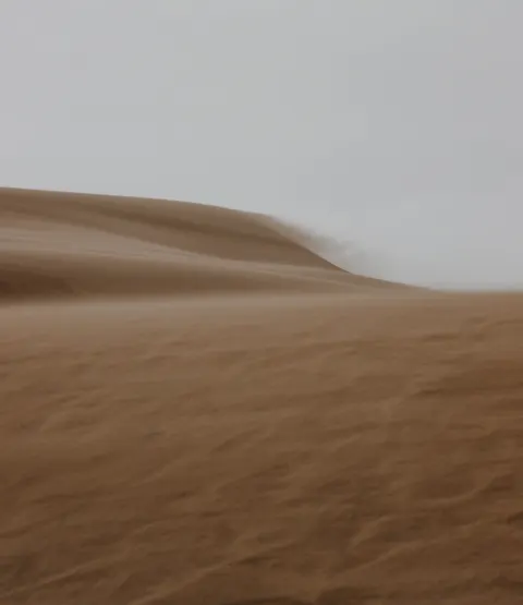 Desert Dunes Phone Wallpaper · vertical · 1440×1668