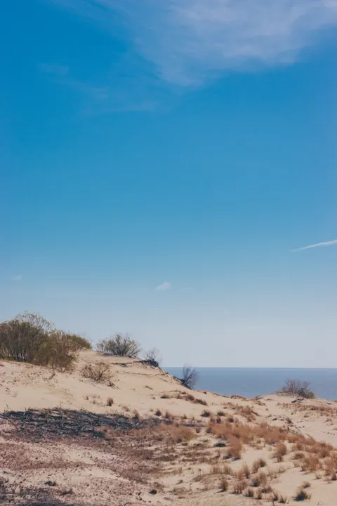 Desert Dunes Phone Wallpaper · vertical · 1440×2160