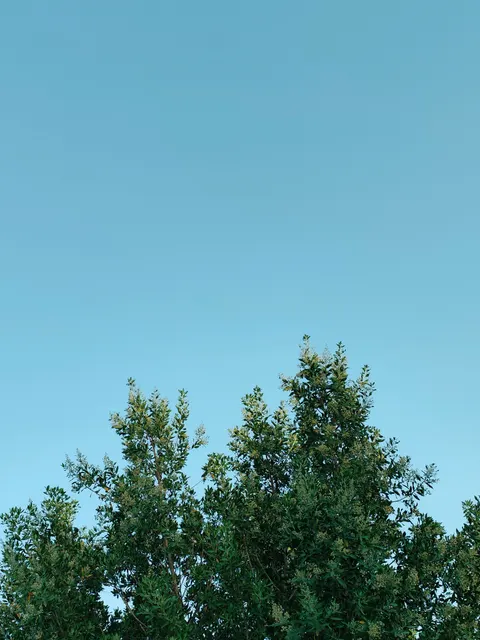Anime Sky Phone Wallpaper · illustration · 1440×1920
