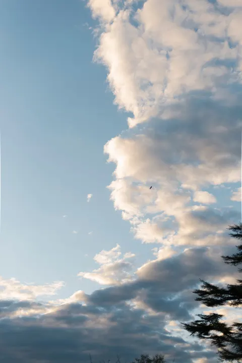 Anime Sky Phone Wallpaper · illustration · 1440×2157