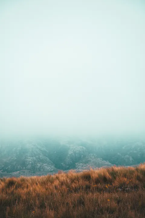 Fantasy Scene Phone Wallpaper · illustration · 1440×2160