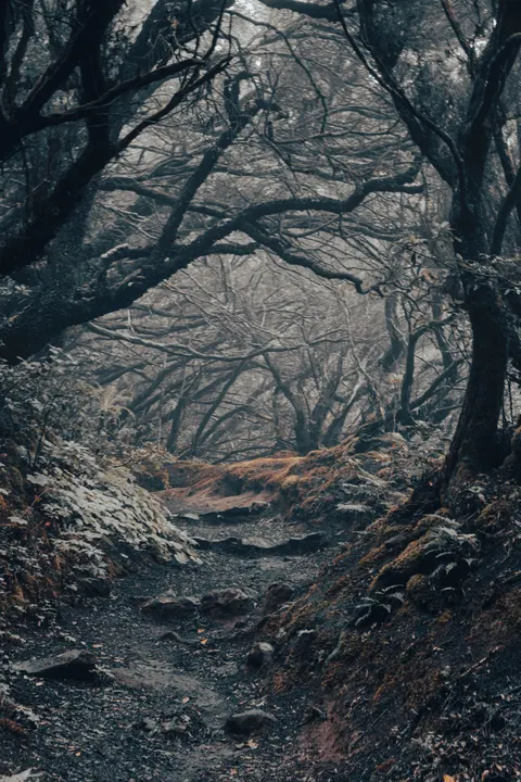 Fantasy Scene Phone Wallpaper · illustration · 1440×2160