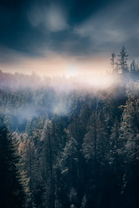 Fantasy Scene Phone Wallpaper · illustration · 1440×2160