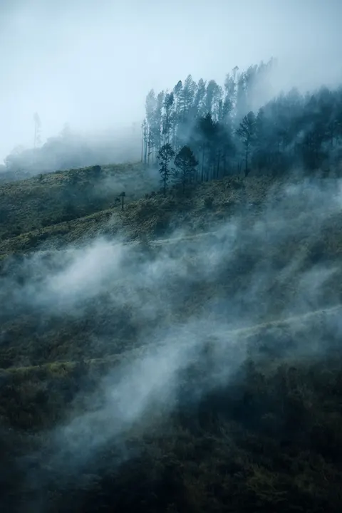 Fantasy Scene Phone Wallpaper · illustration · 1440×2160