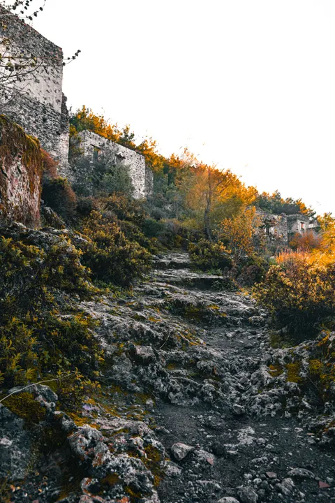 Fantasy Scene Phone Wallpaper · illustration · 1440×2159