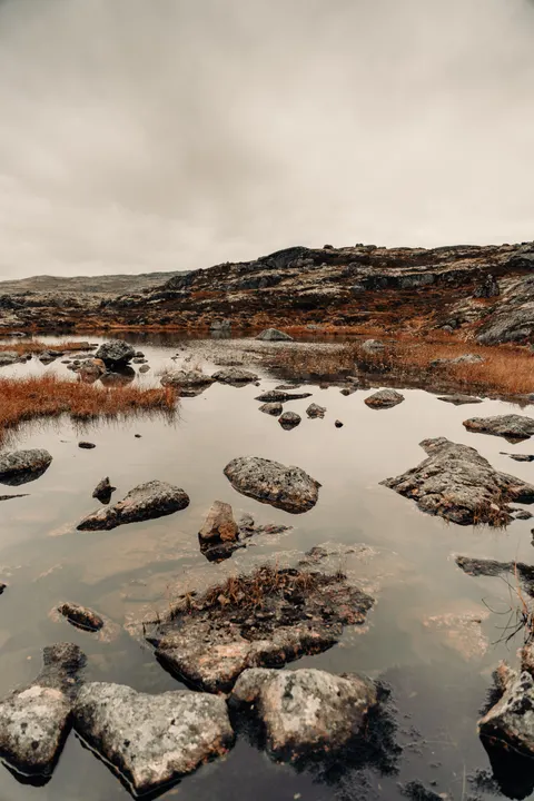Fantasy Scene Phone Wallpaper · illustration · 1440×2159