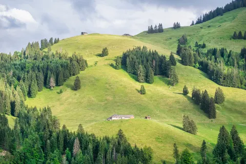 绿色山丘 4K壁纸 · nature · 3840×2560