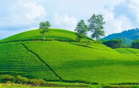 绿色山丘 4K壁纸 · nature · 3840×2438